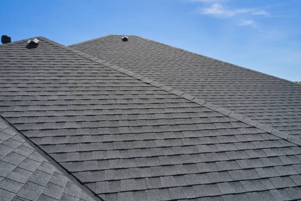 Best Solar Panel Roofing Installation  in Mustang Ridge, TX